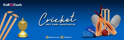 Choose the best ID for you from Ball Exchange.