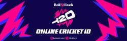 T20 Online Cricket ID
